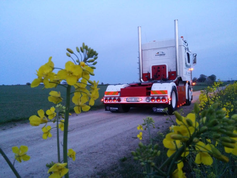 ギャラリービューアに画像をロードする, 【予約】2018年1-3月以降発売予定Lambrechts Scaniaスカニア 143 Streamline 4x2トラクタ 建設機械模型 工事車両 TEKNO 1/50 ミニチュア