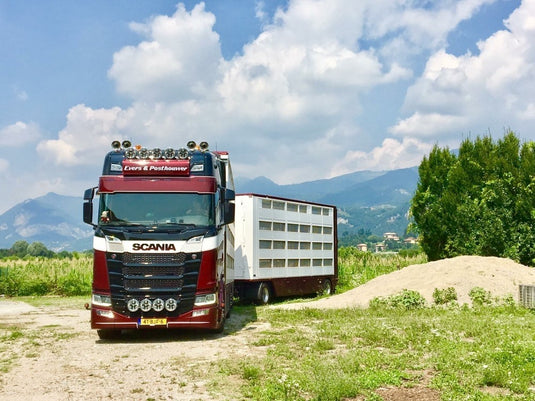【予約】4-6月以降発売予定Evers en Posthouwer Scaniaスカニア S-serie Highline riged truck with livestock trailerトラック  建設機械模型 工事車両 TEKNO 1/50 ミニチュア