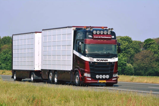 【予約】4-6月以降発売予定Evers en Posthouwer Scaniaスカニア S-serie Highline riged truck with livestock trailerトラック  建設機械模型 工事車両 TEKNO 1/50 ミニチュア