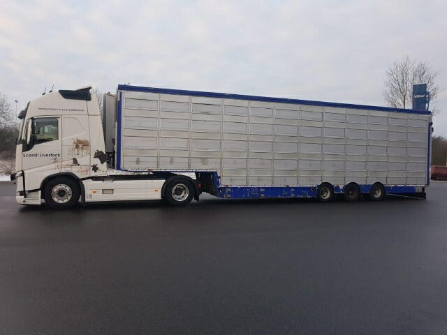 ギャラリービューアに画像をロードする, 【予約】12月以降発売予定Scandi Logistics Danmark A/S Volvo FH04 Globetrotter XL with Pezzaioli livestock トレーラー /建設機械模型 工事車両 TEKNO 1/50 ミニチュア