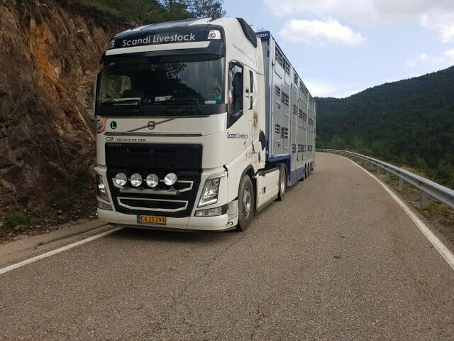 ギャラリービューアに画像をロードする, 【予約】12月以降発売予定Scandi Logistics Danmark A/S Volvo FH04 Globetrotter XL with Pezzaioli livestock トレーラー /建設機械模型 工事車両 TEKNO 1/50 ミニチュア