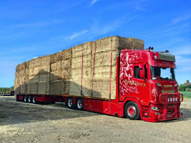 ギャラリービューアに画像をロードする, 【予約】10-12月以降発売予定Judge, Philip Scania Next Gen S-serie vlakke motorwagen met 3-assige wipkar トラック /Tekno 建設機械模型 工事車両 1/50 ミニカー
