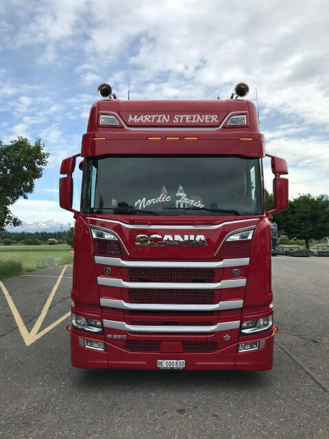 ギャラリービューアに画像をロードする, 【予約】2021年2月以降発売予定Steiner Martin Scania Next Gen S650 rigid truck 3軸トレーラー トラック/TEKNO 1/50 建設機械 模型ミニカー はたらく車 重機