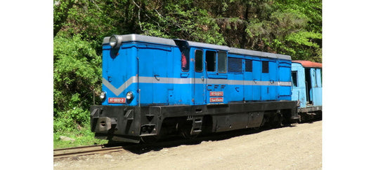 H0e 鉄道模型 ディーゼル機関車 ベモ Bemo Wassertalbahn CFF 87 0032 0 Diesel locomotive CFF 87 0032 0 DC