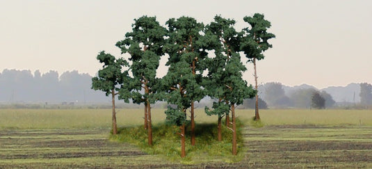 鉄道模型 Heki ヘキ 14 Scots pine trees 10-16 cm