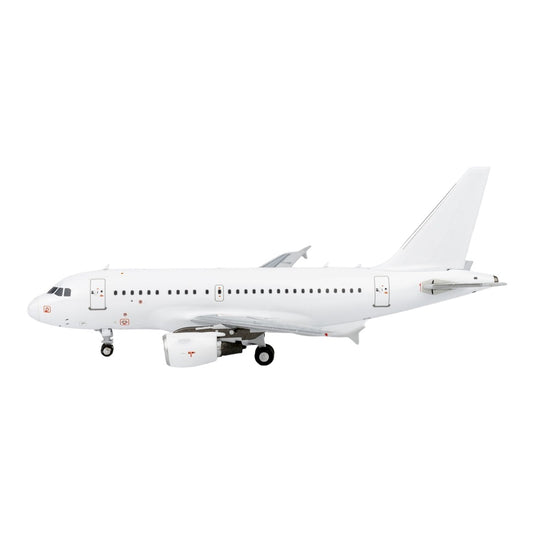 ブランク Blank エアバス A318-100 / NG Models 1/400 飛行機模型 旅客機