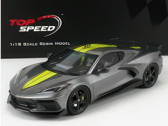 CHEVROLET CORVETTE STINGRAY N 0 IMSA GTLM CHAMPIONSHIP EDITION 2020 GREY YELLOW/TRUESCALE 1/18ミニカー