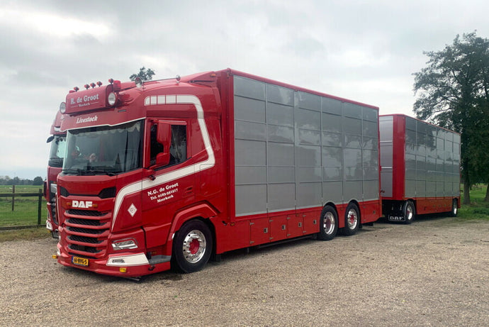 【予約】2026年発売予定 N.G. DE GROOT DAF XF SH スカイライトなし 6x2 タグアクスル 5軸 リジッドトラックドローバー レジンボディ付き トラック / WSI 1/50 建設機械模型 工事車両