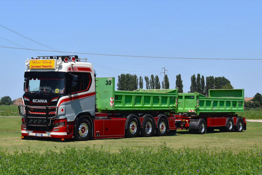 【予約】2026年発売予定 Rossi Rudy Container Transport SCANIA R NORMAL CR20N RIGED TRUC / WSI 1/50 ミニカー トラック模型