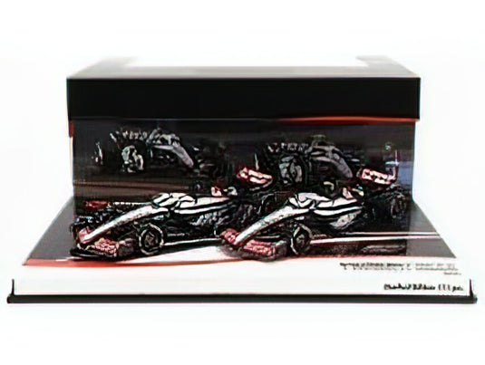 HAAS - F1 SET 2X FW23 TEAM MONEYGRAM HAAS N 20 SEASON 2023 KEVIN MAGNUSSEN + N 27 SEASON 2023 NICO HULKENBERG /Minichamps 1/43 ミニカー
