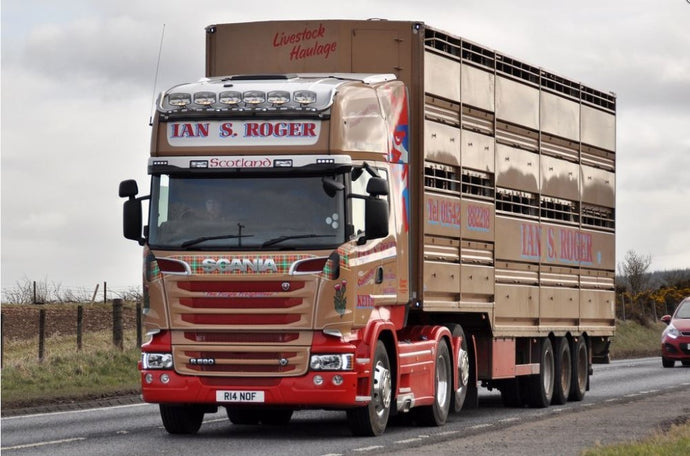 【予約】2017年10-12月以降発売予定Roger, Ian S. Scaniaスカニア R-serie Topline 6x2 with Houghton Parkhouse cattletrailerトラック Teknoテクノ  建設機械模型 工事車両 1/50 ミニチュア