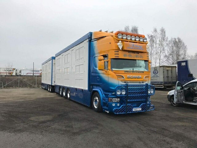 ギャラリービューアに画像をロードする, 【予約】2020年1-3月以降発売予定Friberg Scania R-serie Topline with livestock Swedish Resin combinationトラックトレーラー/建設機械模型 工事車両 TEKNO 1/50 ミニチュア
