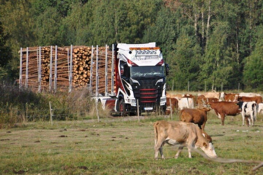 【予約】2020年4-6月以降発売予定Mod 179129Hc / Woodtrans  トラック /建設機械模型 工事車両 Tekno 1/50 ミニチュア