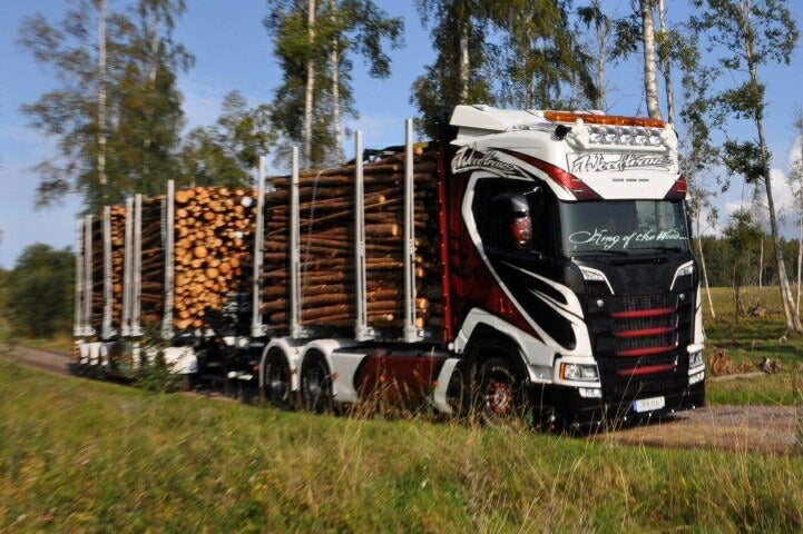 ギャラリービューアに画像をロードする, 【予約】2020年4-6月以降発売予定Mod 179129Hc / Woodtrans  トラック /建設機械模型 工事車両 Tekno 1/50 ミニチュア
