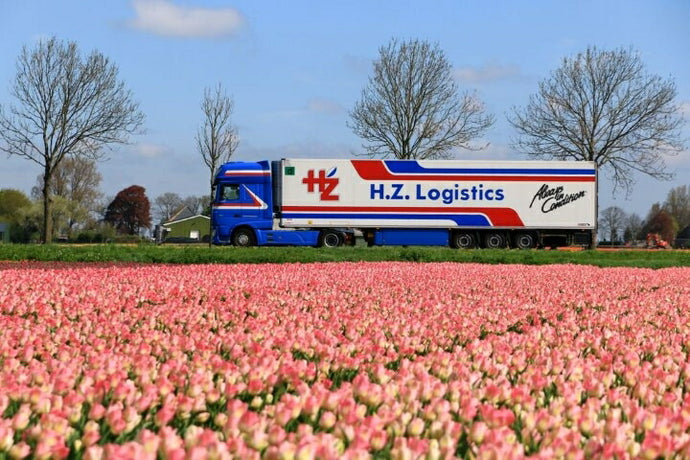 【予約】2021年2月以降発売予定HZ Logistics DAF XF Euro 6 Super Space Cab met koeloplegger トラック/TEKNO 1/50 建設機械 模型ミニカー  はたらく車 重機