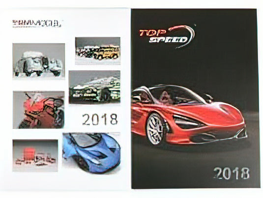 CATALOGO - 2X TRUESCALE - TOP SPEED SERIES - CATALOGUE FULL COLOURS EDITION 2018 - / /TrueScale  1/43 ミニカー